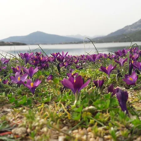 Casa Oleandri * Golfo Aranci
